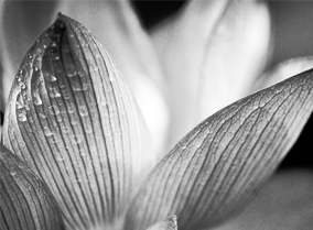 正版授权软件的短信测试app