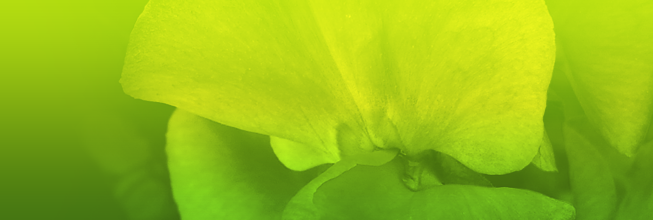 免费短信云呼轰炸